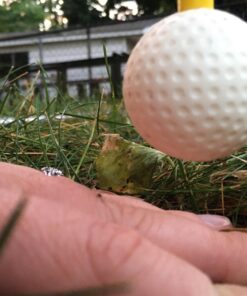 SKLZ Pure Path Golf Swing Trainer Yellow, Large 55 71P9Zy623vL