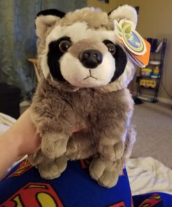Wild Republic Raccoon Plush, Stuffed Animal, Plush Toy, Gifts for Kids, Cuddlekins 12 Inches 38 71PApfA1uNL
