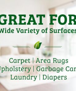 Biokleen Bac-Out Enzyme Stain & Odor Remover - 128 Ounces - Destroys Stains & Odors Safely, for Pet Stains, Laundry, Diapers, Wine, Carpets, & More, Eco-Friendly, Non-Toxic 1 26 71PAqH7aduL