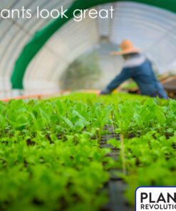 Plant Revolution PRPSGW01 Premium White Mycorrhizae, 1 oz, 1 Ounce, Gray 28 71PHwK7GfWL