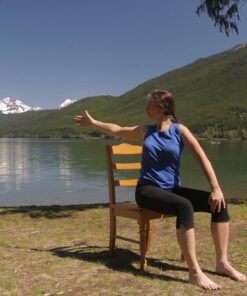 Balance & Strength Exercises for Seniors: 9 Practices, with Traditional Exercises, Tai Chi, Yoga & Dance Based Movements. DVD 20 71PIB5KkxuL