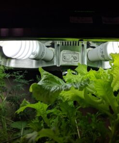 SunBlaster SL0900156 CFL Fluorescent Lighting, 1 Count (Pack of 1), White 6 71PIXliEAuL