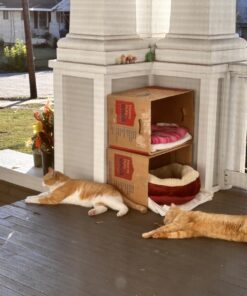 Petmate Aspen Pet Self Warming Round Bed, 19.5 Inches, Barn Red and Cream 19.5"L x 19.5"W x 7.0"Th 34 71PJ80gF9bL