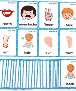 FieldDream 36Pcs/Set Body Parts Child Flash Cards Learning Toys English Baby Card Kids Gifts Pre-Kindergarten with Ring 9 71PLFehrqgL