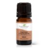 Plant Therapy German Chamomile Essential Oil 100% Pure, Undiluted, Natural Aromatherapy, Therapeutic Grade 5 mL (1/6 oz) 2 71PM2UtyKZS
