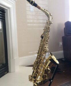 Eastar AS-Ⅱ Student Alto Saxophone E Flat Gold Lacquer Alto Beginner Sax Full Kit With Carrying Sax Case Mouthpiece Straps Reeds Stand Golden 29 71PMR0MDIKL