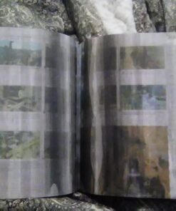 The Legend of Zelda: Breath of the Wild: The Complete Official Guide Collector's Edition 66 71PNMtAPrAL