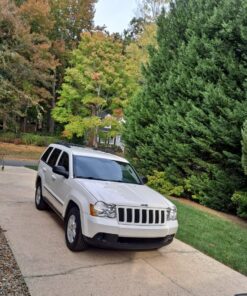 Carfidant Ultimate Trim & Plastic Restorer for Cars - Black Plastic Restorer - Restores Faded and Dull Plastic, Rubber, Vinyl Back to Black - 8.4 oz Kit 8.40 Fl Oz (Pack of 1) 42 71PPxxMxLUL