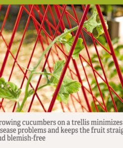 Gardeners Supply Company Deluxe Cucumber Trellis | Easy to Install Raised Garden Bed Cucumbers & Climbing Plants A-Frame Trellis | Outdoor Plant Support w/ 4" Grids for Easy Harvesting | 32"W x 46"H 15 71PQaVn0BBL