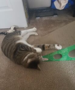 GoPets Premium Cat Scratcher - Wedge Shaped Corrugated Cardboard, Ergonomic Scratching Posts, Reversible Design, Lasts 2X Longer, with 1 Pack Catnip & Hidden Toy Cutouts for Endless Feline Play Fun 58 71PQyYl LvL 2