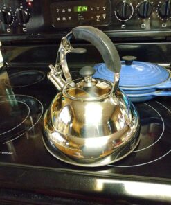 Willow & Everett Whistling Tea Kettle for Stove Top - 2.75 Quart Tea Pots for Stove Top w/Stainless Steel, Mirror Finish & Strainer Single Handle 52 71PR4DIYVsL