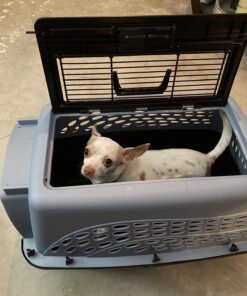 Petmate Two-Door Small Dog Kennel & Cat Kennel, Top Loading or Front Loading Pet Carrier, Made with Recycled Materials, 24 inches in Length For Pets up to 15 Pounds, Made in USA 24.1"L x 16.8"W x 14.5"H BLUE 29 71PSinimTBL