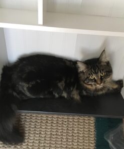 Sauder Caraway Etagere/Pantry cabinets, L: 23.31" x W: 7.44" x H: 68.07", Soft White finish 38 71PWV9C mfL