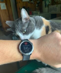 Garmin Forerunner 645 Music, GPS Running Watch With Pay Contactless Payments, Wrist-Based Heart Rate And Music, Black 39 71PbIHgo2HL