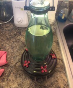 BOLITE 18001 Hummingbird Feeder, Glass Wild Hummingbird Feeders for Outdoors, Retro Edison Bulb Bottle, 25 Ounces, Green, Xmas Gifts for Bird Lovers Retro Bulb 33 71Pdl98NjuL