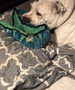 Outward Hound Durablez Tough Plush Squeaky Dog Toy, Snake, Blue, XL Blue Snake 41 71PhjA M L
