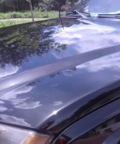 Chemical Guys GAP_619_16 Black Light Hybrid Radiant Finish, Glaze & Sealant, (Safe for Cars, Trucks, SUVs, & More) for Black and Dark Colored Cars, 16 fl oz 48 71Pk8pJxXwL