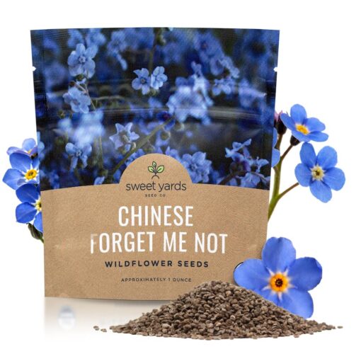 Chinese Forget Me Not Wildflower Seeds - Bulk 1 Ounce Packet - Over 5,500 Open Pollinated Seeds - Blue Cynoglossum amabile 1 Ounce Pouch