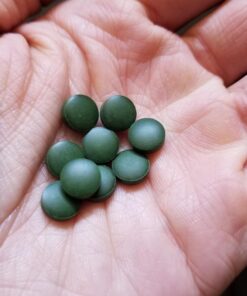 Sunlit Best USDA Organic Premium Chlorella Tablets 1000 Tabs | 100% Pure Chlorella Superfood Supplement High in Protein, Chlorophyll, Vitamins, & Minerals | Supports Good Health, Wellbeing 1000 Count (Pack of 1) 19 71PpnsLAgAL