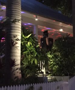 Sound Activated Party Light, Spriak Disco Light Disco Ball - Remote Control, 7 Modes - Best Dj Dance Lamp Strobe Lights for Birthday Xmas Festival Parties, Stage Bar Club Room House Karaoke Wedding plug-in disco light 31 71PqFad0pbL