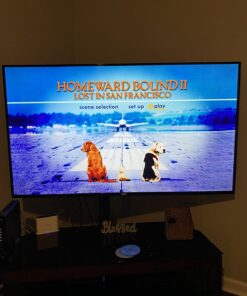 Homeward Bound - The Incredible Journey / Homeward Bound II - Lost In San Francisco DVD February 10, 2008 16 71PwtwEJkEL