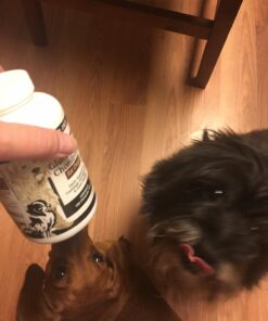 Trader Joe's Glucosamine Chondroitin for Dogs 12 71PyNlubWwL