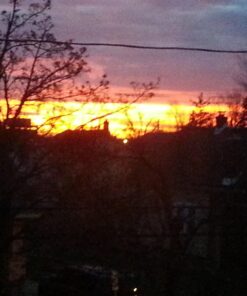 SharkBite 1/2 Inch MNPT Adapter, Push to Connect Brass Plumbing Fitting, PEX Pipe, Copper, CPVC, PE-RT, HDPE, U120LFA, Brass SharkBite 1/2 in. 17 71PzjFk79AL