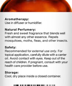 MAJESTIC PURE Lavender Essential Oil, Premium Grade, Pure and Natural, Bulgarian, for Aromatherapy, Massage, Topical & Household Uses, 1 fl oz 1 Fl Oz (Pack of 1) 9 71Q 7hu5DjL