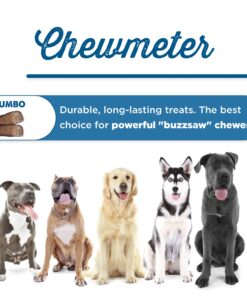 Best Bully Sticks All Natural Premium 12 Inch Jumbo Bully Sticks for Large Dogs - USA Baked & Packed - 100% Grass-Fed Beef - Single-Ingredient Grain & Rawhide Free Dog Chews - 8 Pack 12" Natural Scent 8 Count (Pack of 1) 24 71Q QKcnrmL 2