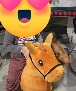 iPlay, iLearn Bouncy Pals Brown Hopping Horse, Toddler Plush Animal Hopper Toy, Kids Inflatable Ride on Bouncer W/Pump, Indoor Outdoor Jumper, Birthday Gifts for 18 24 Months 2 3 Year Old Boys Girls Brown Hopper Horse 34 71Q msWqJeL