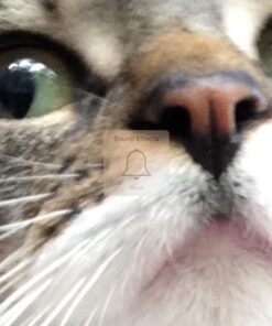 Five Nights at Freddy's: The Silver Eyes 16 71Q004rUD6L