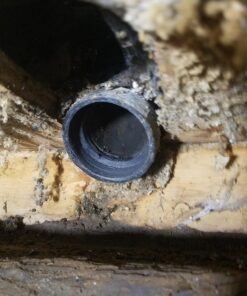 Jones Stephens Corp Socket Saver 2" Carded No Color 17 71Q1rXLmfL