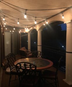 Lemontec Commercial Grade Outdoor String Lights with 15 Hanging Sockets - 48 Ft Black Weatherproof Cord Weatherproof Strand for Patio Garden Porch Backyard Party Deck Yard – S14 Black 33 71Q4G2W2aJL