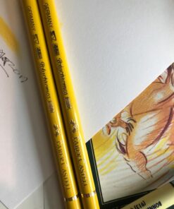 Faber-Castell Polychromos Artists' Color Pencils - Tin of 120 Colors - Premium Quality Artist Pencils 120 Count (Pack of 1) 57 71Q50rQtZL