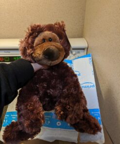 GUND Philbin Classic Teddy Bear, Premium Stuffed Animal for Ages 1 and Up, Chocolate Brown, 12” 38 71Q5qL87nnL