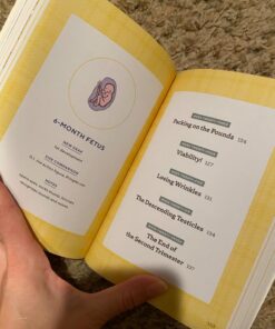 We're Pregnant! The First Time Dad's Pregnancy Handbook 35 71Q6wh77DeL