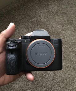 Sony ALCB1EM NEX Body Cap for Several Models,Black 17 71Q8gwExrBL