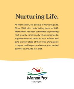 Manna Pro Bite-Size Peppermint Flavor Nuggets | Packed with Vitamins and Minerals | 1 Pound 20 71Q8qGwNWL