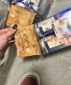 Red Bull Energy Drink, 8.4 Fl Oz, 24 Cans, 4 Count (Pack of 6) Original 8.4 oz. can 39 71Q9O3BMRL