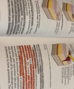 Zebra Pen Mildliner Double Ended Highlighter Set, Broad and Fine Point Tips, Assorted Ink Colors, 15-Pack 52 71QAII4X4bL