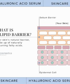 Hyaluronic Acid Serum for Skin 100% Pure Anti Aging Serum Intense Hydration Moisture Non greasy Paraben free, Wrinkle Reducing and Brightening Serum (Pro Formula) 2oz 2 Fl Oz (Pack of 1) 31 71QCtOBmqKL