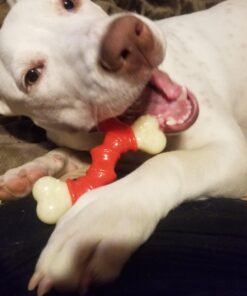 Nylabone Power Chew Double Bone Long Lasting Chew Toy for Dogs Medium - Up to 30 lbs. Medium up to 35 lbs. 38 71QDSMAMBL