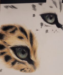 Caran d'Ache Luminance 6901 Clr Pncl Set 76 Artist Rng Pencil Set 46 71QE25sbGJL