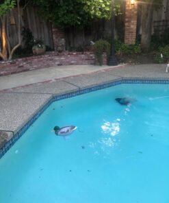 Poolmaster Adustable Chlorine Dispenser for Swimming Pools and Spas, Mallard 34 71QFCAD2uPL