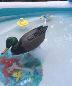 Poolmaster Adustable Chlorine Dispenser for Swimming Pools and Spas, Mallard 39 71QO91lxblL