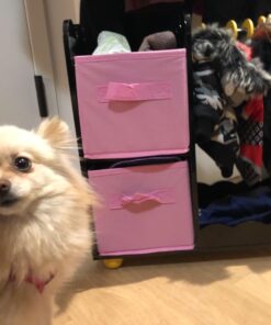 Emily Rose Doll Furniture | USA Business | 18 Inch Doll Clothes Closet Accessory - Wooden Doll Accessories Toy Playsets | 5 Free Wooden 18" Doll Hangers and 2 Large Storage Bins - Butterfly 33 71QOgmSsEL