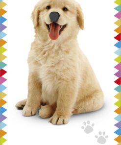 My First Touch and Feel Picture Cards: Animals (My First Board Books) 37 71QQUlgVKbL