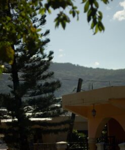 K&F Concept 52mm Variable ND2-ND400 ND Lens Filter (1-9 Stops) for Camera Lens, Adjustable Neutral Density Filter with Microfiber Cleaning Cloth (B-Series) 52 millimeter 43 71QRG7mf65L