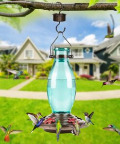 BOLITE 18001 Hummingbird Feeder, Glass Wild Hummingbird Feeders for Outdoors, Retro Edison Bulb Bottle, 25 Ounces, Green, Xmas Gifts for Bird Lovers Retro Bulb 25 71QSFry83WL