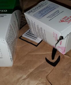 Nutramax Proviable Digestive Health Supplement Multi-Strain Probiotics and Prebiotics for Cats and Dogs - with 7 Strains of Bacteria, 80 Capsules 80 Count 35 71QSrj6t57L